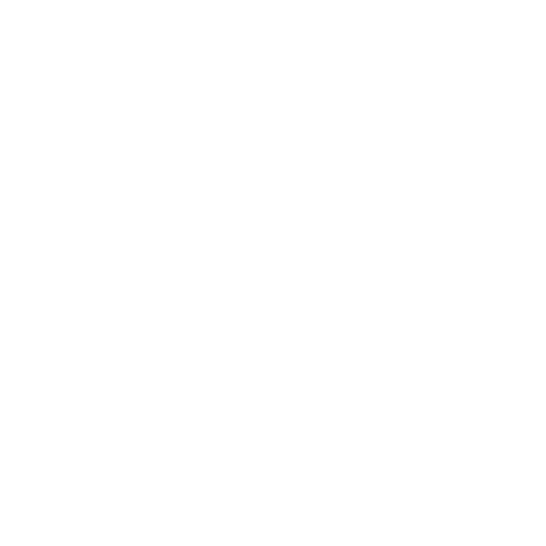 APEX STUDIO LOGO