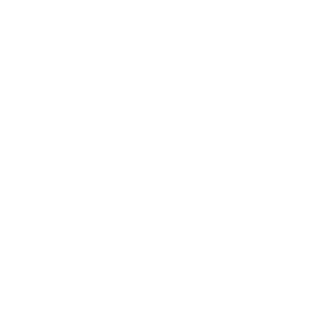 THE AESTHETIK