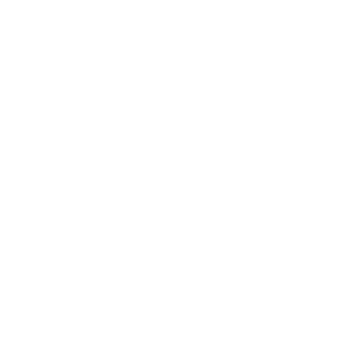 SHINE PILATES LOGO
