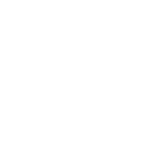 FINE SHINE LOGO FINE SHINE LOGO